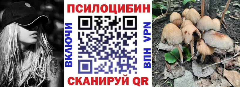 Галлюциногенные грибы Psilocybine cubensis  Шахунья 